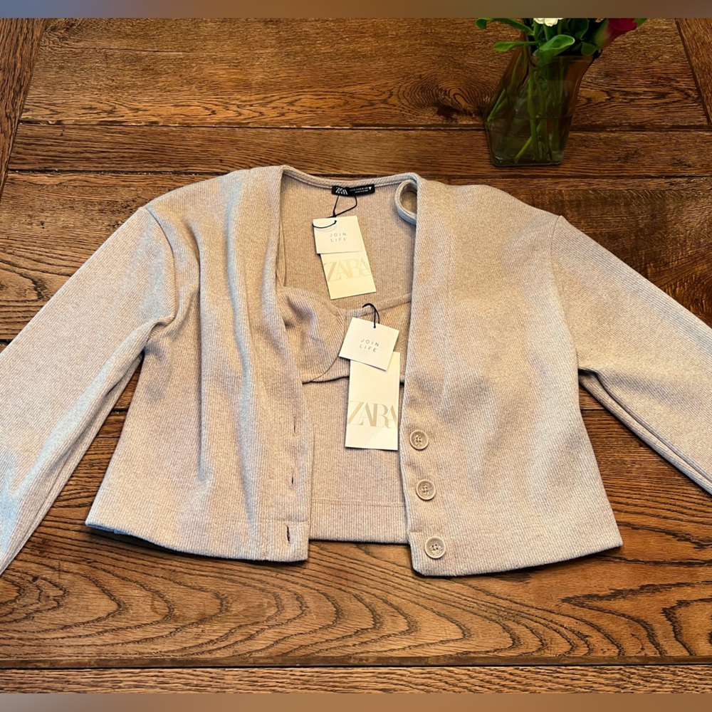 Zara 2 piece sweater and bra top